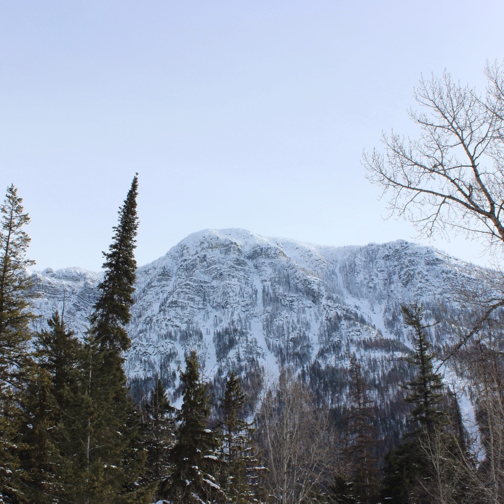 Meet your Posher, Ella